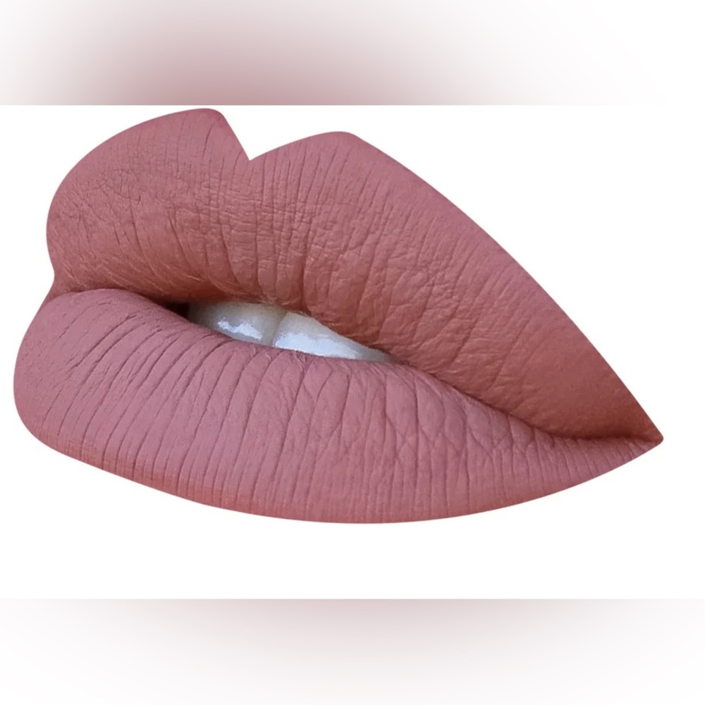 Pinky Rose Liquid Matte Lipstick Naked Truth Pink New in Box